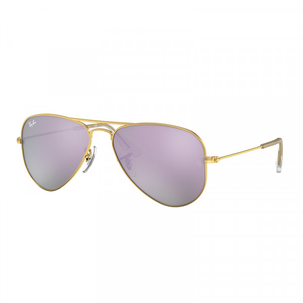 rj9506s-junior-aviator-249-4v