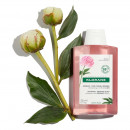shampoing-bio-pivoine