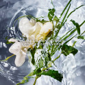 guerlain aqua allegoria herba fresca woda toaletowa 75 ml     