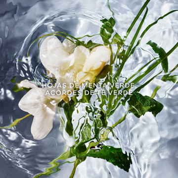 aqua-allegoria-herba-fresca