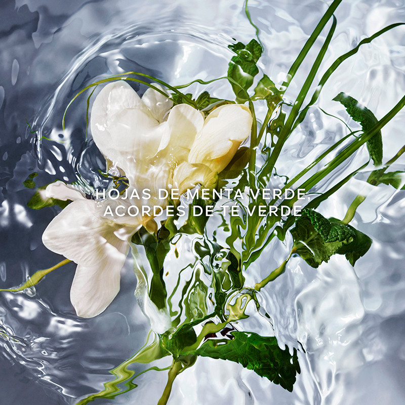 Guerlain Aqua Allegoria Herba Fresca