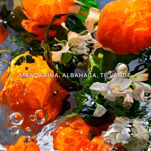 aqua-allegoria-mandarine-basilic-opladen