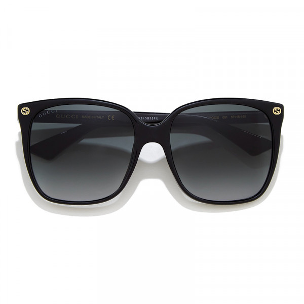 gg0022s-001