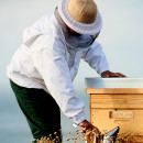 abeille-royale-mascarilla-honey-cataplasm-4-unidades