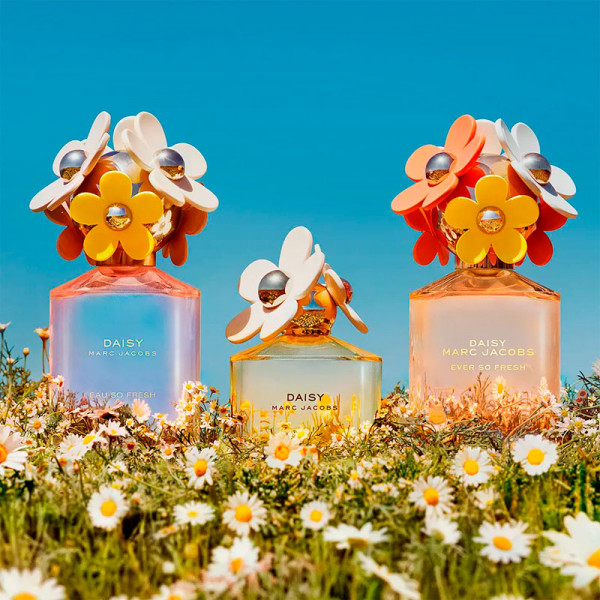 Daisy Ever So Fresh