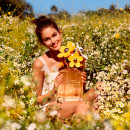 Daisy Ever So Fresh