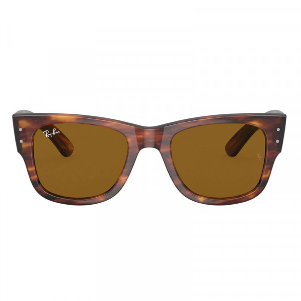 RB0840S 954/33 T51 Propionato 145 3N Havana Brown