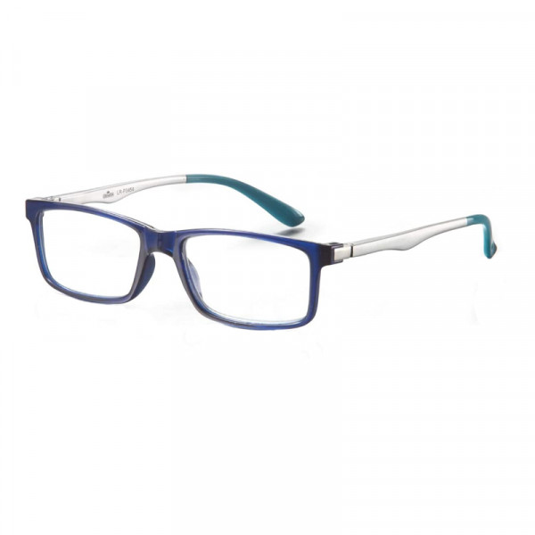 Reading Glasses New York Blue