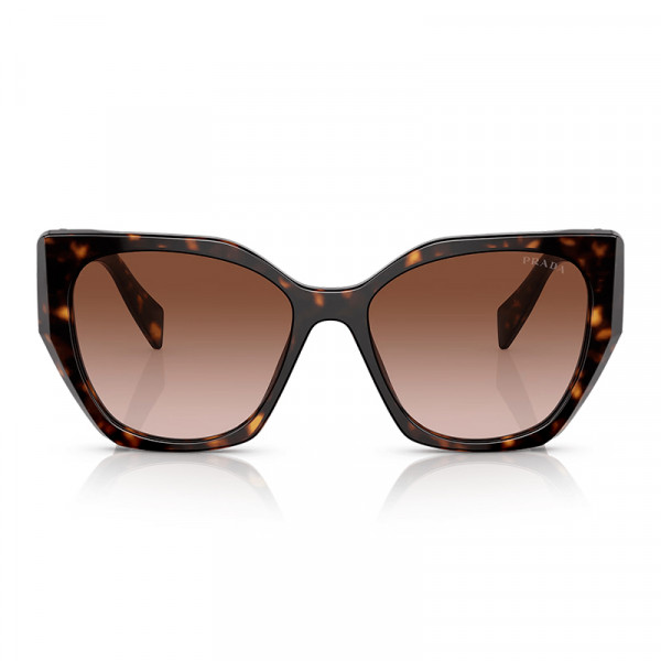 pr-19zs-2au651-tortoise-brown-grad