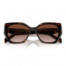 pr-19zs-2au651-tortoise-brown-grad