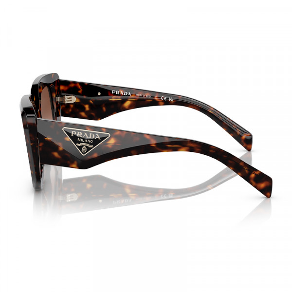 pr-14zs-2au6s1-tortoise-brown-grad