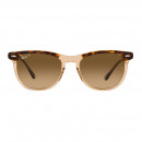 RB2398 1292M2 53-21 Eagle Eye Sunglasses Polarizadas