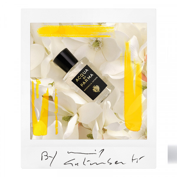 magnolia-infinita-signatures-of-the-sun