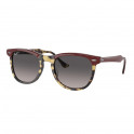 RB2398 1377M3 53-21 Eagle Eye Polarizado