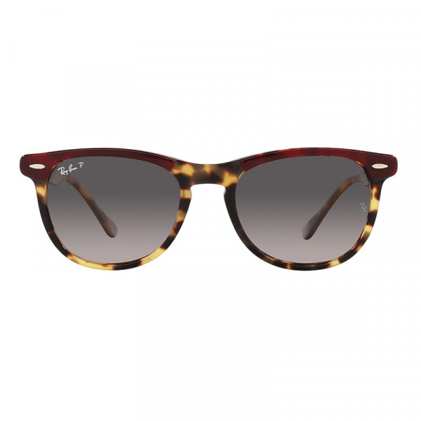 RB2398 1377M3 53-21 Eagle Eye Polarizado