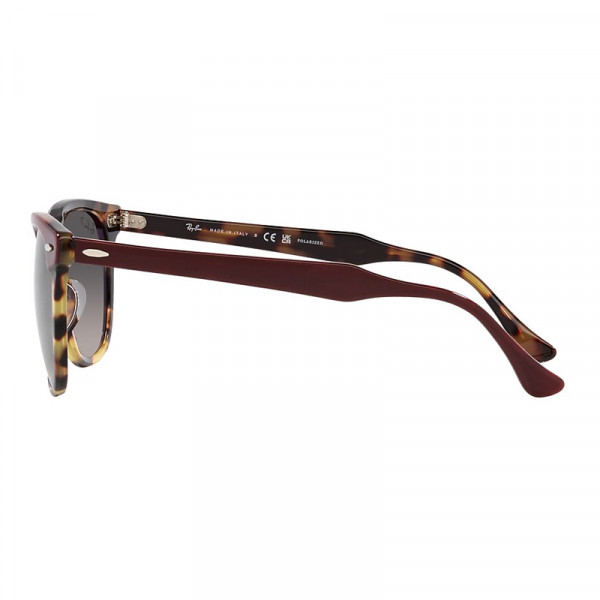 RB2398 1377M3 53-21 Eagle Eye Polarizado