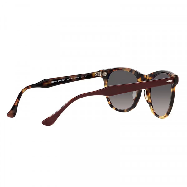 RB2398 1377M3 53-21 Eagle Eye Polarizado