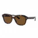 RB4398 902/57 53-20 Erik Polarized