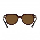 RB4398 902/57 53-20 Erik Polarized