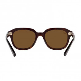 Ray-Ban Classic Brown Sunglasses. MODEL CODE RB4398 902/57 53-20 RB4398 902/57 53-20 Erik Polarized - Sabina main image 2