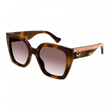 gg1300s-003