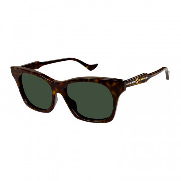 gg1299s-002