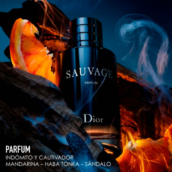 Sauvage Parfum: Citrus and Woody Fragrance, Gift Case
