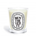 Menthe Verte Classic model candle