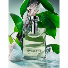Amazon.com : BVLGARI POUR HOMME SOIR by Bvlgari EDT SPRAY