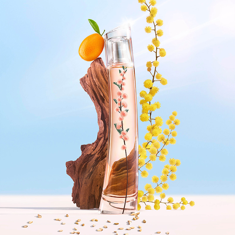 Flower Ikebana Mimosa by Kenzo - Kenzo - Sabina