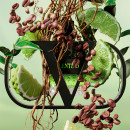 uomo-born-in-roma-green-stravaganza