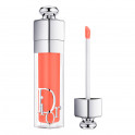 Plumping lip gloss - hydration and volumizing effect - immediate and long-lasting