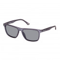 sunglasses SE6268