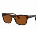 Sonnenbrille Rb4428