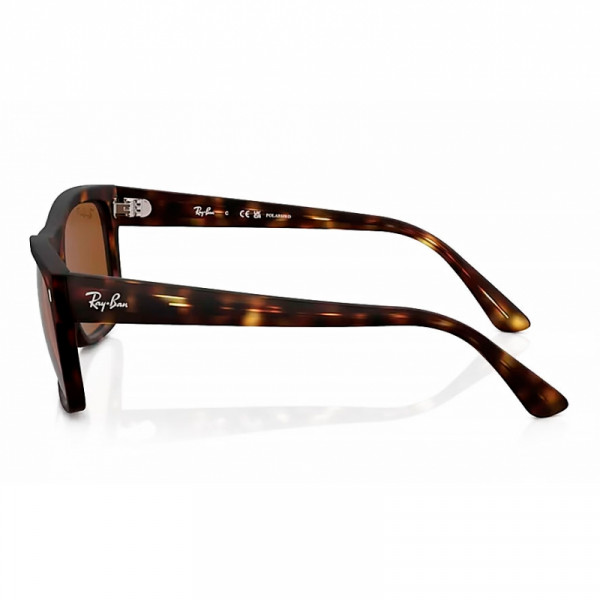 oculos-de-sol-rb4428