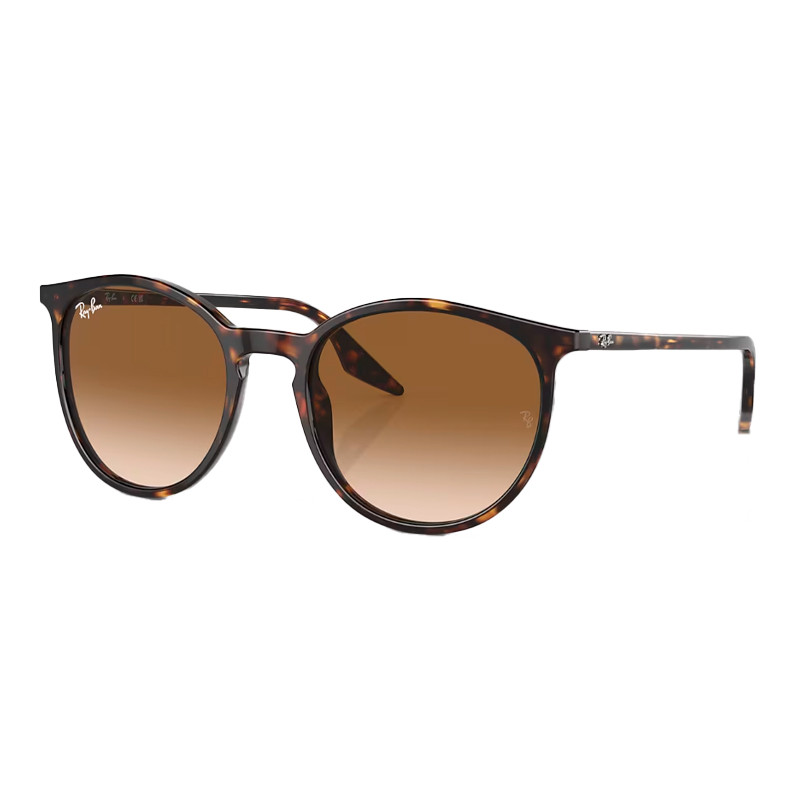 Ray-Ban Women's Brown Sunglasses For Sunglasses 0Rb2204