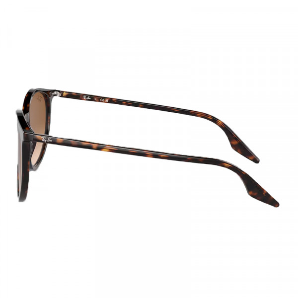 gafas-de-sol-0rb2204