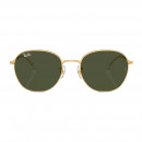 sunglasses-0rb3809