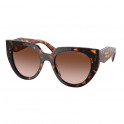 Lunettes De Soleil 0PR 14WS