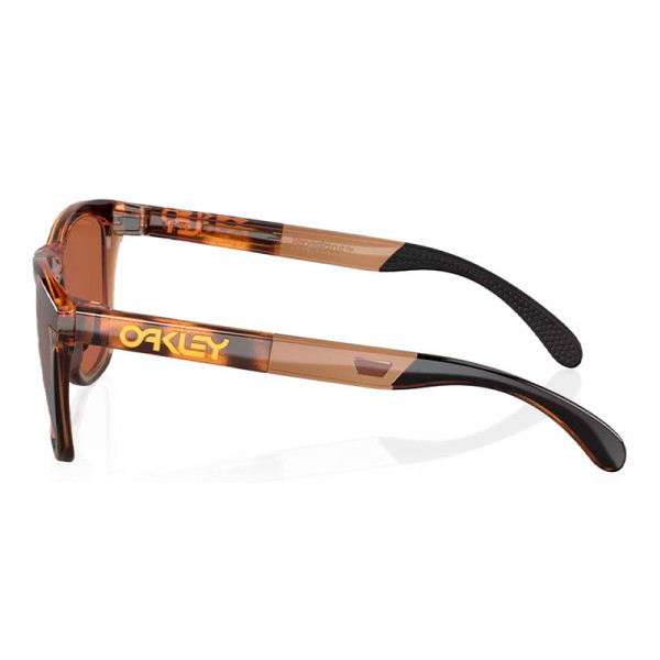 lunettes-de-soleil-de-la-gamme-frogskins