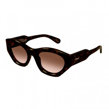 sunglasses-ch0220s