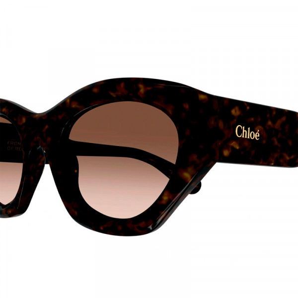 sunglasses-ch0220s