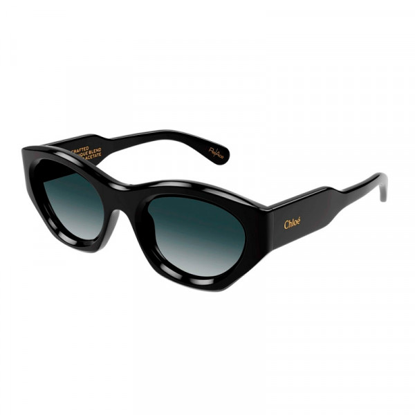 Okulary SłOneczne Ch0220S