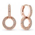 Boucles d'oreilles doubles créoles brillantes 289052C01