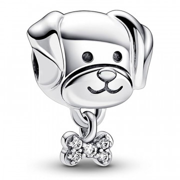 dog-and-bone-pet-charm-792254c01