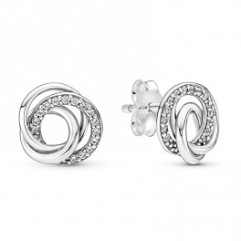 Family Circle Stud Earrings Family Circle Stud Earrings