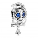 Wise Owl Graduation Charm 798907C01