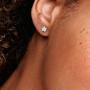 brincos-starburst-290597cz