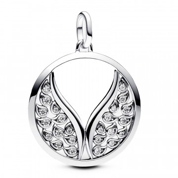 ppandora-me-large-wings-locket-charm-p