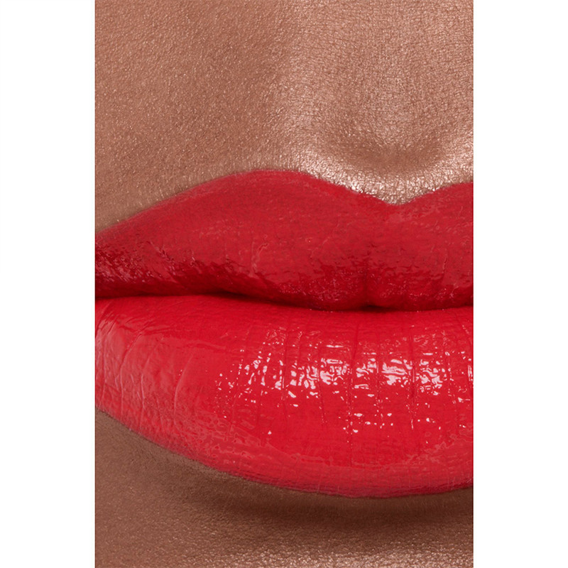 the-long-lasting-moisturizing-and-flupping-lipstick-intense-color-and-brightness